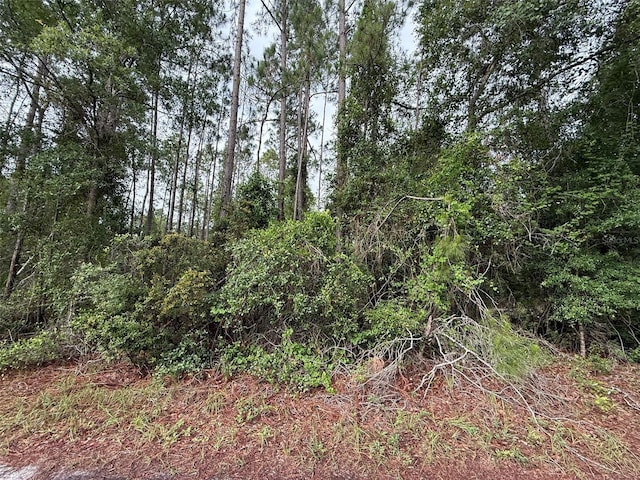 151 Arden St, Georgetown, FL 32139
