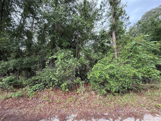 151 Arden St, Georgetown, FL 32139