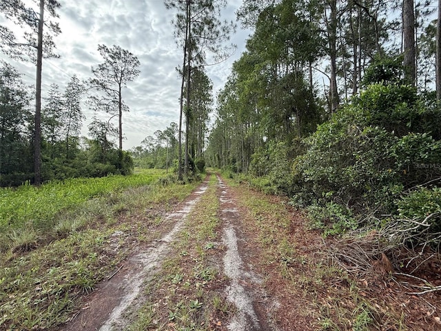 151 Arden St, Georgetown, FL 32139