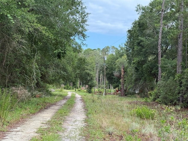 151 Arden St, Georgetown, FL 32139