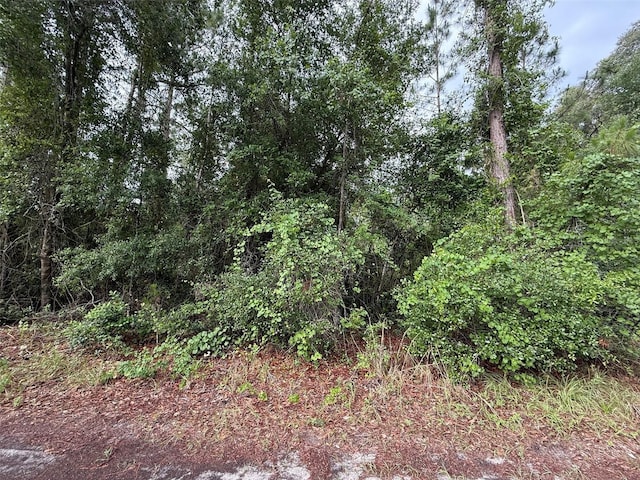 151 Arden St, Georgetown, FL 32139