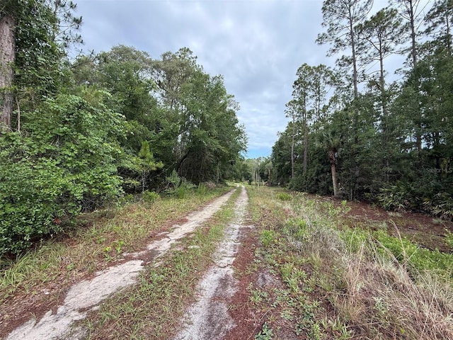 151 Arden St, Georgetown, FL 32139