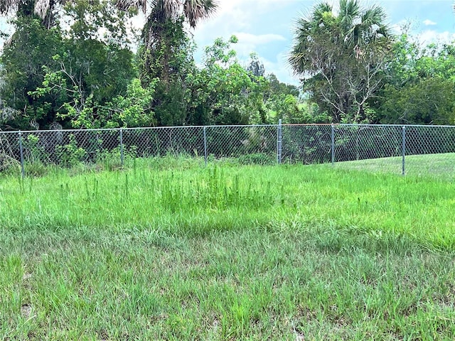 1150 SW 83rd Ave, Okeechobee, FL 34974 - view of yard