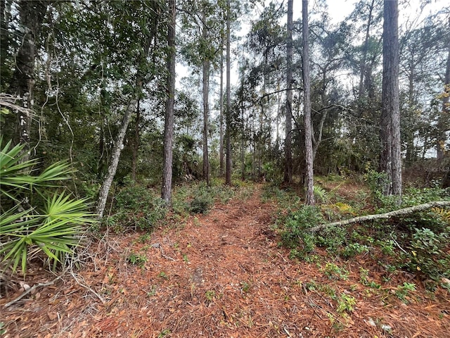 Susan St, Interlachen, FL 32148