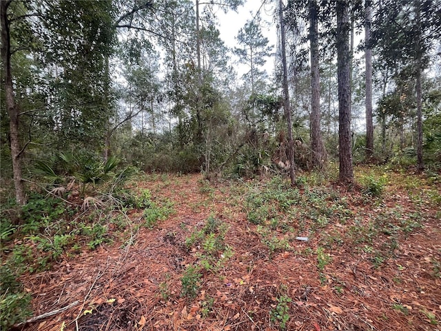 Susan St, Interlachen, FL 32148