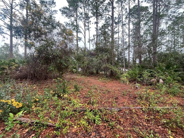 Susan St, Interlachen, FL 32148