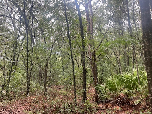 TBD Delaware Ave, Interlachen, FL 32148