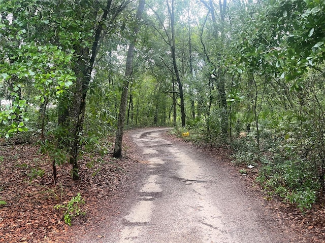 TBD Delaware Ave, Interlachen, FL 32148