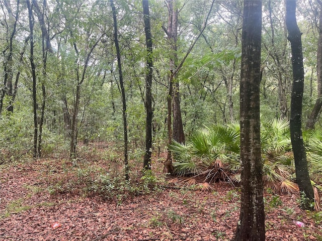 TBD Delaware Ave, Interlachen, FL 32148