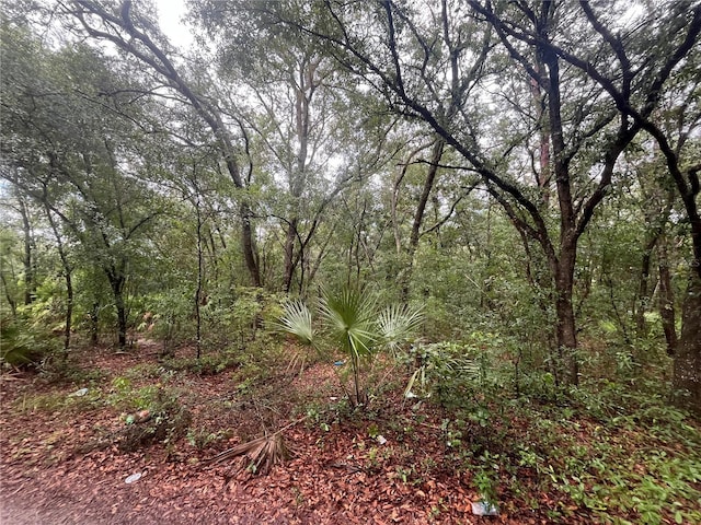 TBD Delaware Ave, Interlachen, FL 32148