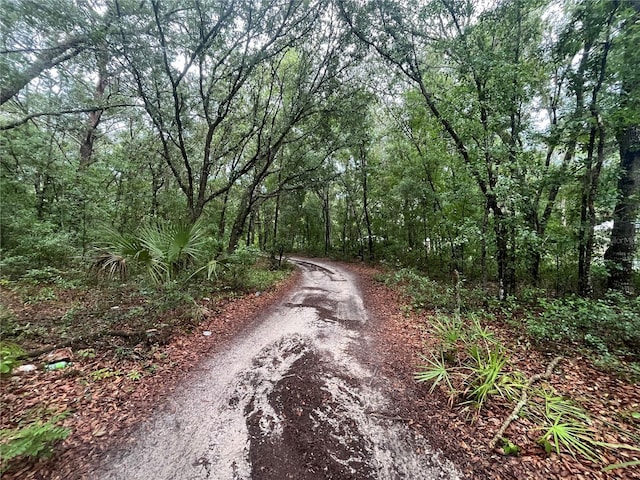 TBD Delaware Ave, Interlachen, FL 32148