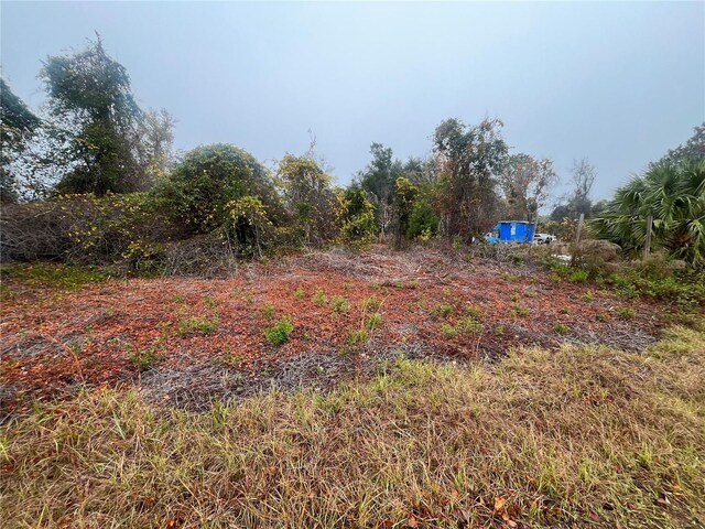 512 Dogwood Ave, Georgetown, FL 32139 - photo 1
