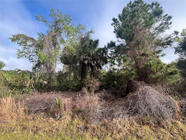 512 Dogwood Ave, Georgetown, FL 32139 - photo 3