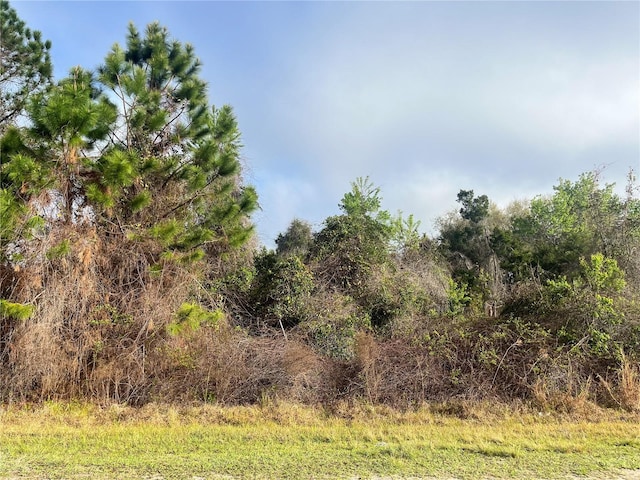 512 Dogwood Ave, Georgetown, FL 32139 - photo 4