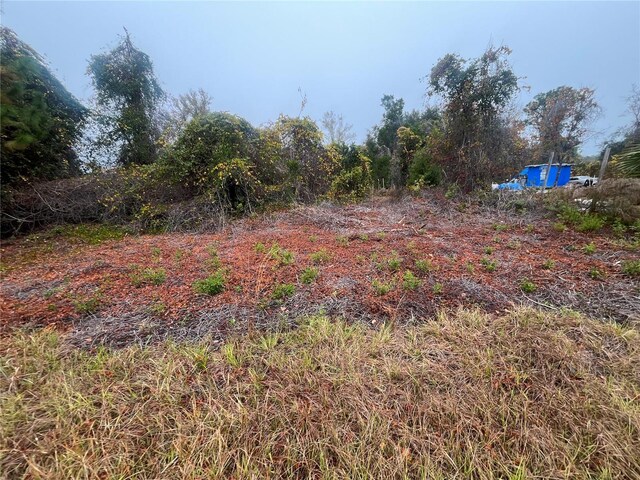 512 Dogwood Ave, Georgetown, FL 32139 - photo 7