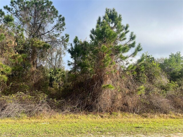 512 Dogwood Ave, Georgetown, FL 32139 - photo 8