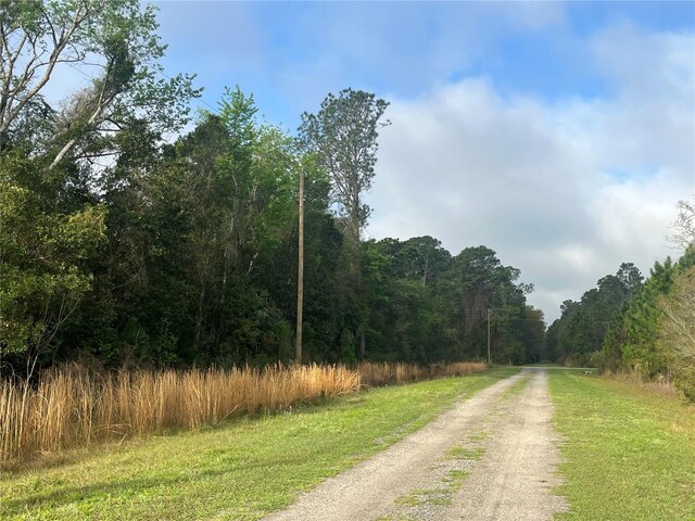 512 Dogwood Ave, Georgetown, FL 32139 - photo 10