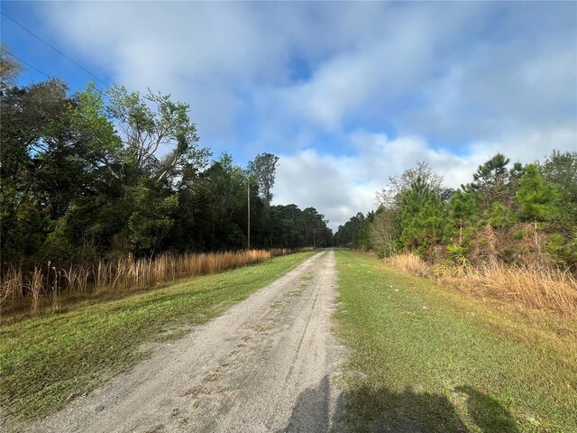 512 Dogwood Ave, Georgetown, FL 32139 - photo 11