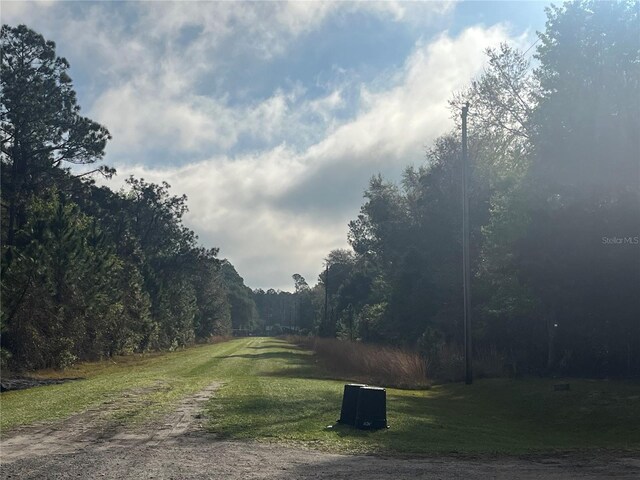 512 Dogwood Ave, Georgetown, FL 32139 - photo 12
