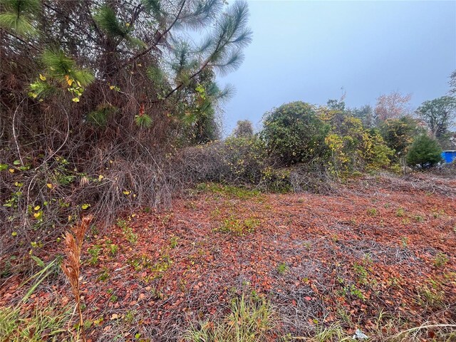 512 Dogwood Ave, Georgetown, FL 32139 - photo 14