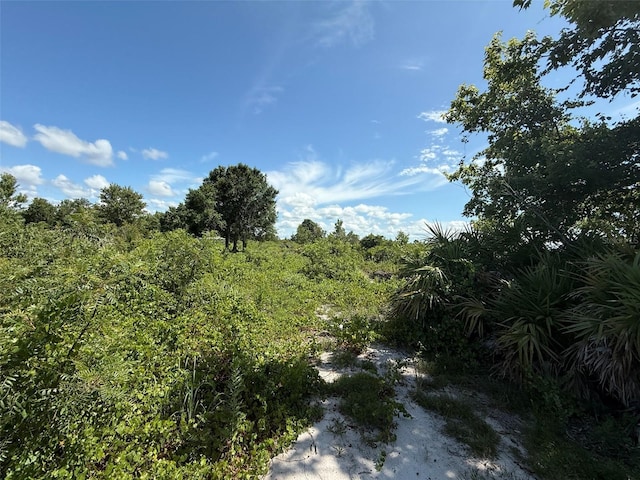 15789 NW 254th St, Okeechobee, FL 34972