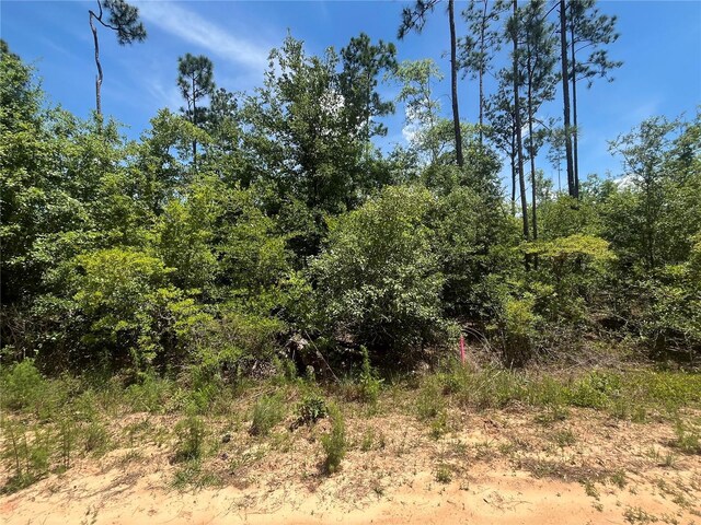 Tamarac Rd, Marianna, FL 32448 - photo 3