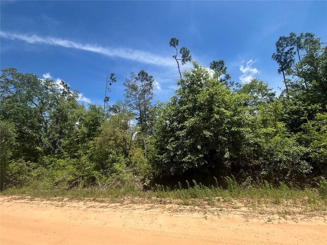 Tamarac Rd, Marianna, FL 32448 - photo 4