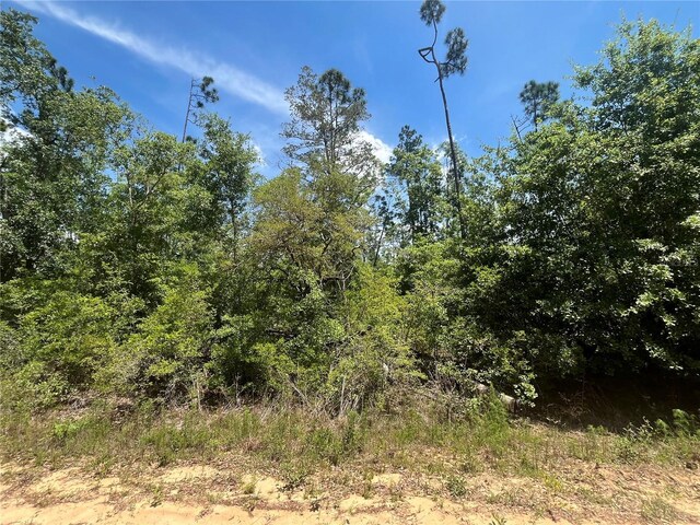 Tamarac Rd, Marianna, FL 32448 - photo 5