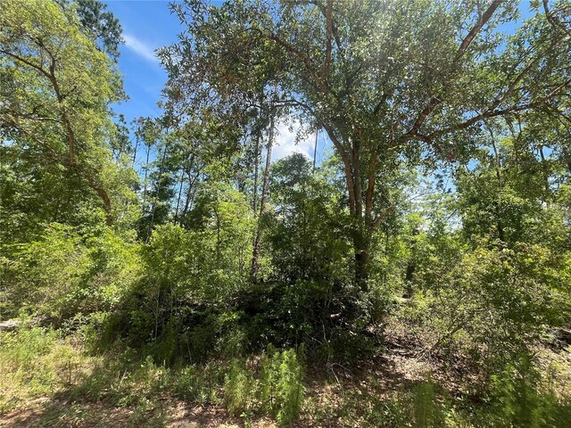 Tamarac Rd, Marianna, FL 32448 - photo 7