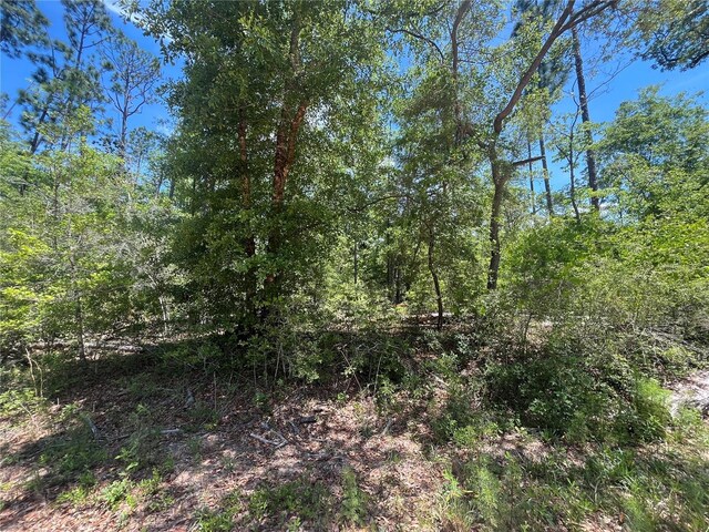 Tamarac Rd, Marianna, FL 32448 - photo 8