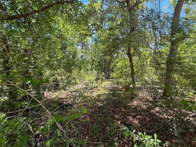 Tamarac Rd, Marianna, FL 32448 - photo 9