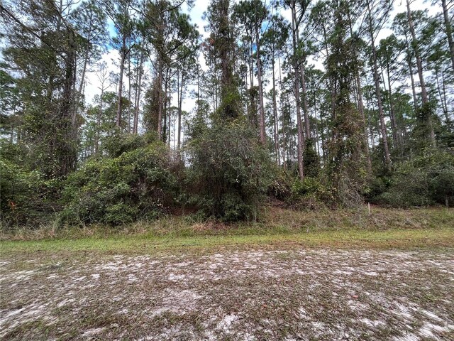 108 SE 5th St, Georgetown, FL 32139 - photo 1