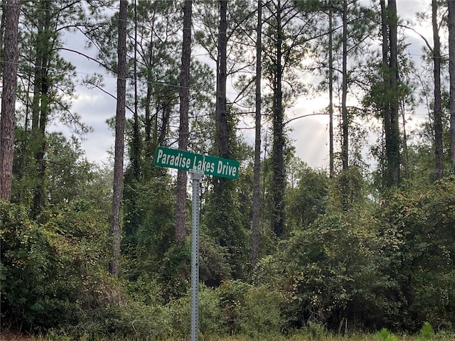 108 SE 5th St, Georgetown, FL 32139 - photo 5