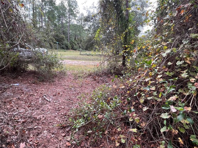 108 SE 5th St, Georgetown, FL 32139 - photo 7