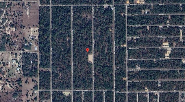 NW Tree Top Rd, Dunnellon, FL 34431 - photo 7