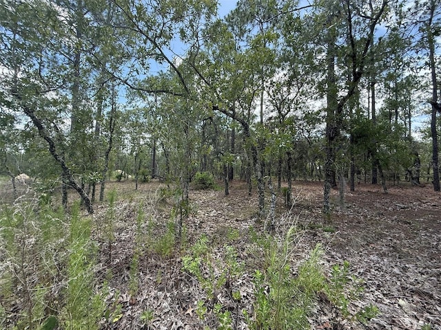 NW Tree Top Rd, Dunnellon, FL 34431 - photo 3