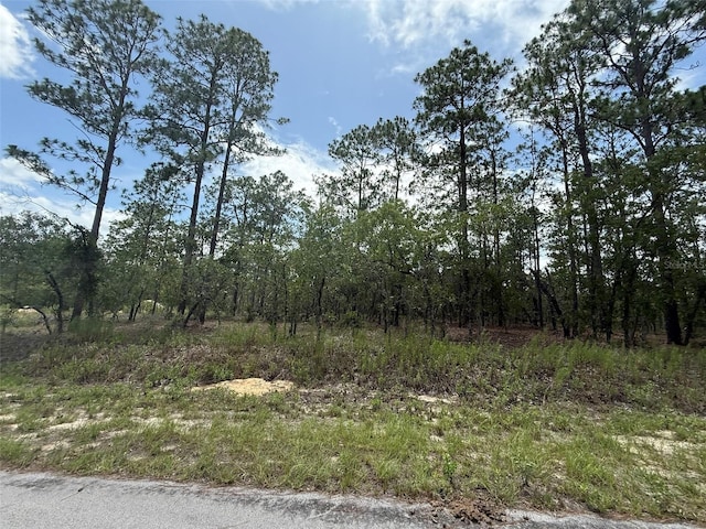 NW Tree Top Rd, Dunnellon, FL 34431 - photo 4