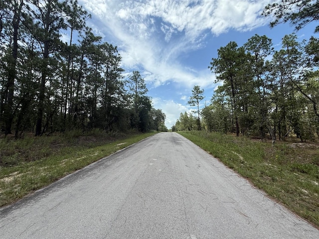 NW Tree Top Rd, Dunnellon, FL 34431 - photo 5