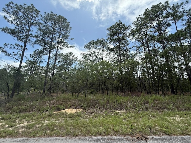NW Tree Top Rd, Dunnellon, FL 34431 - photo 6