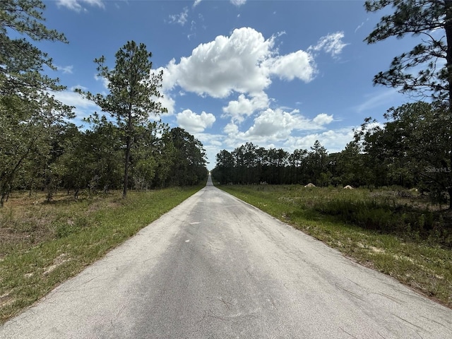 NW Tree Top Rd, Dunnellon, FL 34431 - photo 9