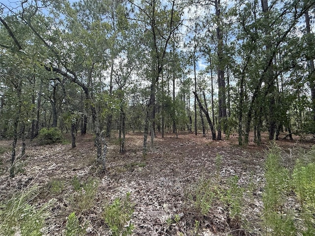 NW Tree Top Rd, Dunnellon, FL 34431 - photo 1