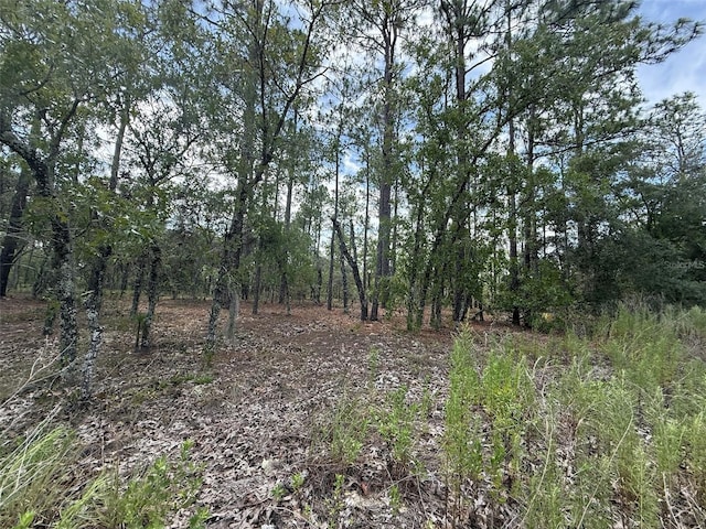 NW Tree Top Rd, Dunnellon, FL 34431 - photo 2