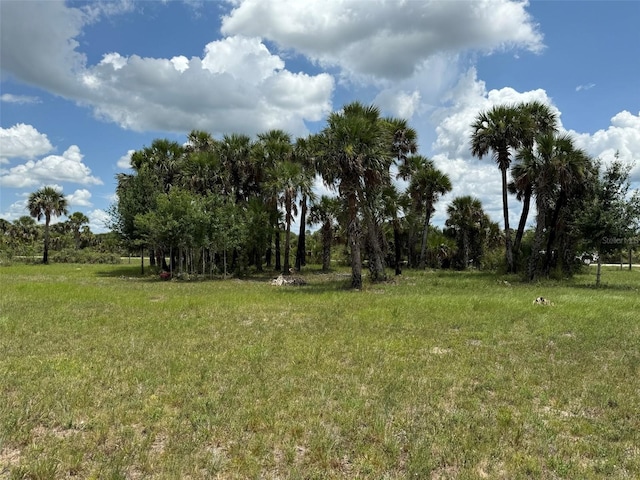 15775 NW 288th St, Okeechobee, FL 34972 - photo 1