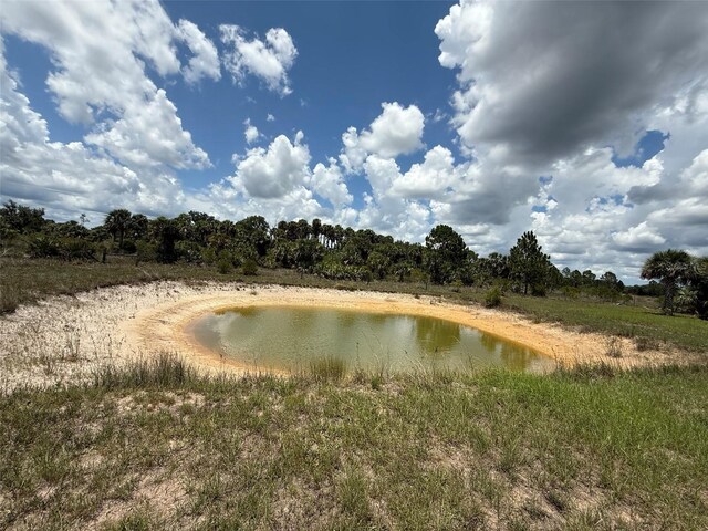15775 NW 288th St, Okeechobee, FL 34972 - photo 9