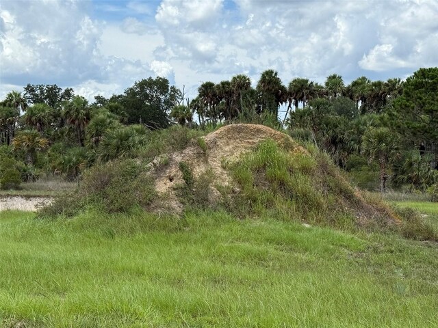 15775 NW 288th St, Okeechobee, FL 34972 - photo 10