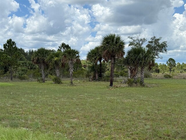 15775 NW 288th St, Okeechobee, FL 34972 - photo 11