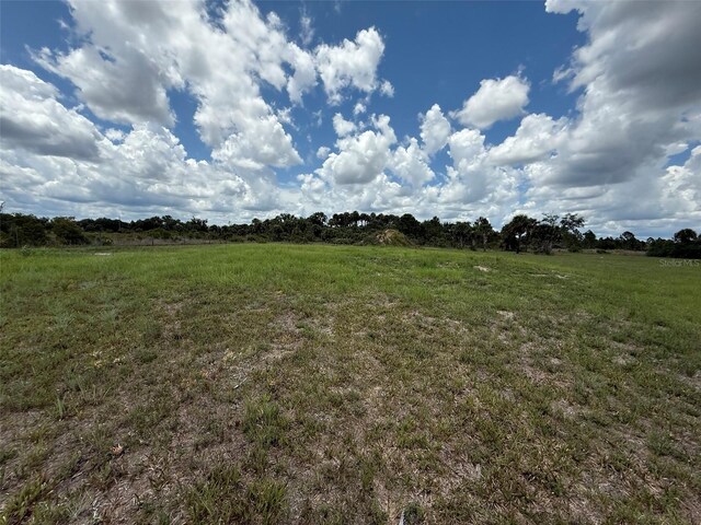 15775 NW 288th St, Okeechobee, FL 34972 - photo 13