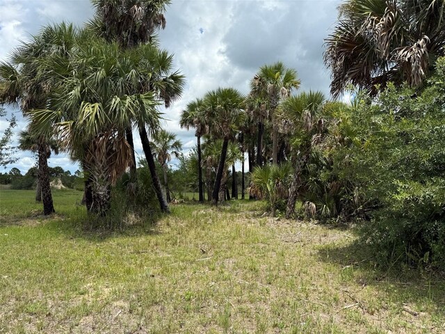 15775 NW 288th St, Okeechobee, FL 34972 - photo 14
