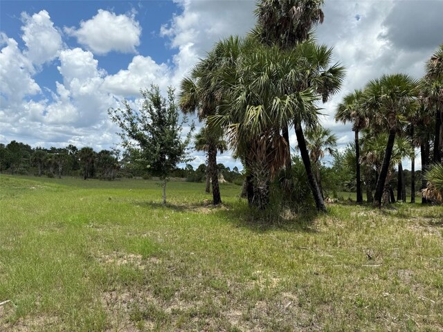 15775 NW 288th St, Okeechobee, FL 34972 - photo 15