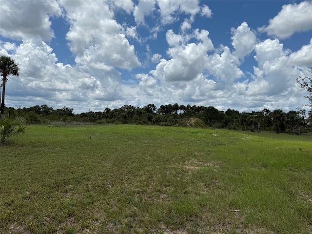15775 NW 288th St, Okeechobee, FL 34972 - photo 16